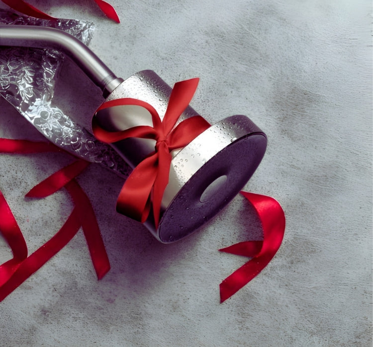 Bloom Filtered Showerhead